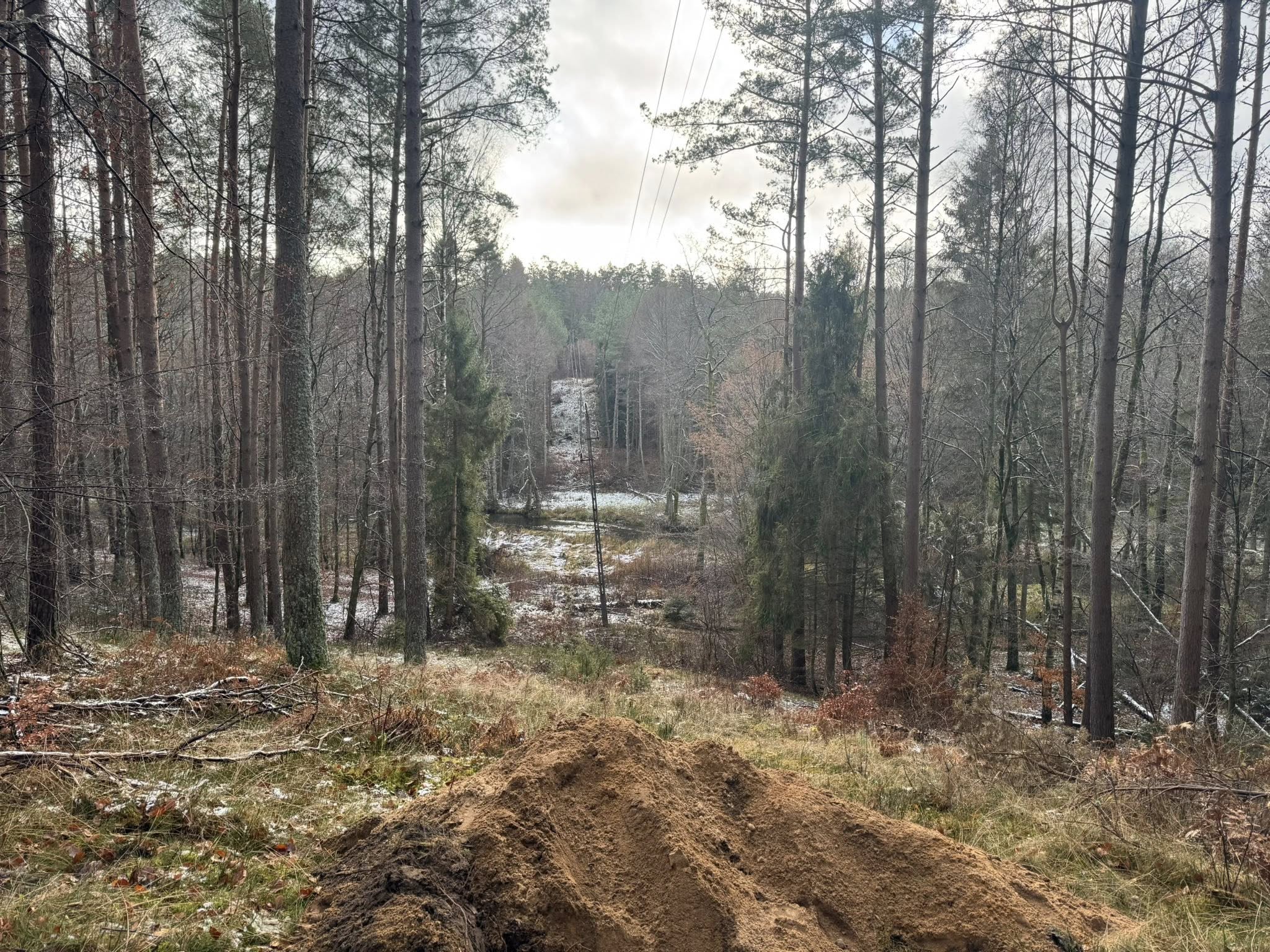 Trasa przewiertu w terenie leśnym